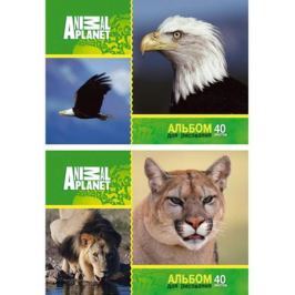 Альбом для рисования Action! ANIMAL PLANET A4 40 листов AP-AAS-40/1 AP-AAS-40/1