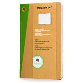 Блокнот Moleskine EVERNOTE SKQP416EVER Large 130х210мм обложка картон 80стр. линейка бежевый 2шт