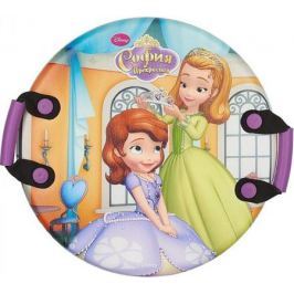 Ледянка DISNEY София пластик разноцветный 4603721522477