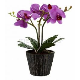 Растения в горшке Globo FlowerPower 28003