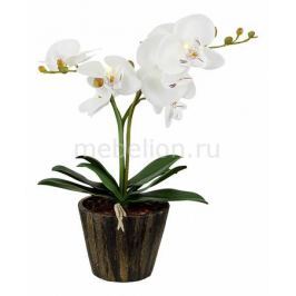 Растения в горшке Globo FlowerPower 28002