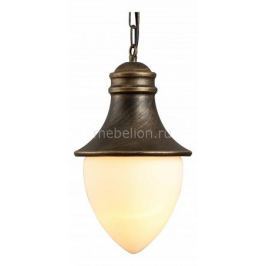 Подвесной светильник Arte Lamp Vienna A1317SO-1BN