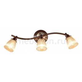 Спот Citilux Виндзор CL539531