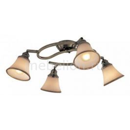 Спот Citilux Прованс CL511143