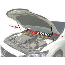 Упоры (амортизаторы) капота
