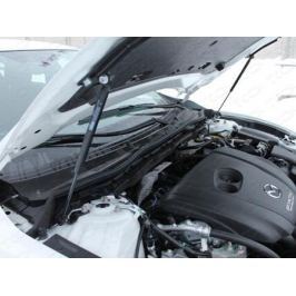 Упор капота (комплект) ТСС MAZ615-02Y для Mazda 6 (2015 - 2017)