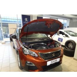 Упоры (амортизаторы) капота AEngineering для PEUGEOT 3008 2017 -